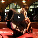 [엽기남] 몸매쩌는 <b>미녀</b>와 황소대결