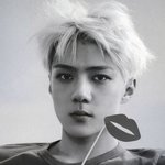 [exo] 어째 <b>엑소</b><b>팬</b>들이 가망소보다 더한것같냐