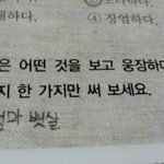 [펌질] <b>우문현답</b> 초딩