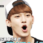 [EXO] 종대 <b>입속</b>으로 빨려들어갈꺼 같음
