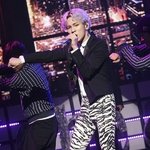 <b>hot</b> 이슈!! 지금은 얼룩무늬 <쿰바>시대~ 지브라 열풍!