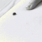 [EXO] 카이 무당<b>벌레</b>랑도 케미터지네