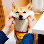 [EXO] 살 조카쪄ㅓ서