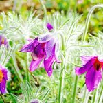 [신천지] 신천지 세뇌 <b>no</b>! 생명수로 거듭났어요