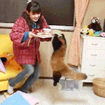 [시우민] (시우민) 둘이 다른 점을 1도 모르겠다