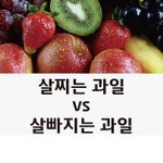 [<b>뮤</b>즐링] 살찌는 과일 vs 살빠지는 과일