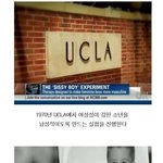 [엽기베스트] 성적 <b>성향</b>을 바꾸는 실험
