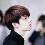 [인피니트] 하이스쿠루하니까 