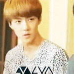 [EXO] 항상