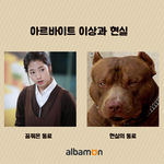 이상과 현실..ㅋㅋㅋㅋㅋㅋㅋㅋㅋㅋㅋㅋ(<b>feat</b>.박신혜와 jyp)