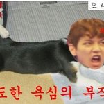 [EXO] 세훈핑계로