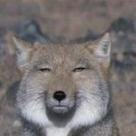 아 <b>시발</b>..