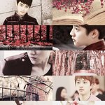 [EXO] 에1펙 수록<b>곡</b> <b>추천</b>좀!!