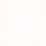 [EXO] 애들 다음 컨셉 이런거 였음 좋겠다