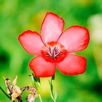 [신천지] 신천지 세뇌 노! <b>진리</b>로 거듭났어요