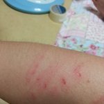 [조언부탁] 오늘 있었던 <b>일</b>   <b>끝</b>까지  읽어주세요