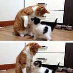 [보리쌀] 또 한 번 찾아온 <b>인연</b>