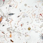 [EXO] 야니네 <b>바닷물</b> 쳐먹지마라