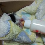 아깽이 엄마된지 4일차