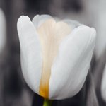 [신천지] 신천지 이혼 <b>no</b>! 하나님의 사랑을~