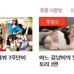 [김쭈꿍] 어느 길냥이의 인생 대역전 스토리 #3.만남