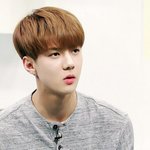 [EXO] 야 술마시는 꿀팁알려줄게@@@@@@@