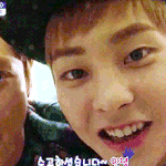 [EXO] <b>구사</b>즈 사진올리면 귀엽다고댓글달리는데