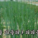 [EXO] <b>브라끈</b>이 올라갔는데