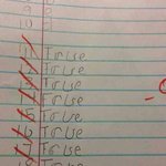 [<b>루니</b>시] 시험 100점 받는법