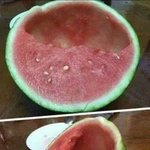 [콜로라도] 동생 나 좀 있다 갈테니깐 <b>수박</b> 반만 남겨놔..jpg