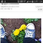 [추억파리여] 식물갤에 <b>도발</b>을 해보았다 jpg