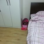 [리오호빵] 스코티쉬 폴드 리오 또왔어요