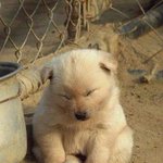[EXO] 타오가 그립다고 한거 내 생각엔