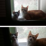 [보리쌀] 또 한 번 찾아온 인연 2