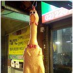 [ㅋㅋㅋ] * 꼬꼬댁 살려유!! *