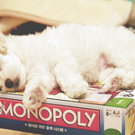 [EXO] <b>로로</b> 수업시간에 자다가 침왕창흘림