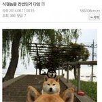 [EXO] <b>식물</b>갤 이것도 있어ㅋㅋㅋ
