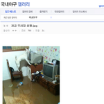 [썰모아] 어느 디<b>씨인</b>의 집 상황
