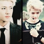 [EXO] 아니시발 니들이 사생활털이세요?