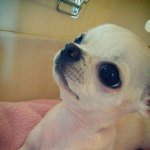 [율무] 오랫만에 왔네요 :d