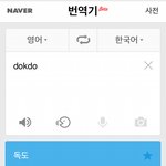 [추억파리여] 논란의 네이x <b>번역기</b> dokdo 그후