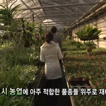 울 엄마 여기 가시면 완전 <b>환호</b>하실 듯..ㅋ