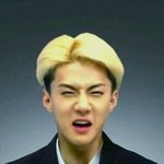 [EXO] 애들숙소<b>정문</b>