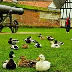 잊지 못할 영국여행 공짜로 가기!