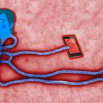 [발달장애] 약이 없는 안볼라 <b>바이러스</b>