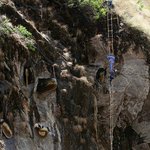 [가가] 네팔 야생 <b>로얄</b>제리 채취 현장