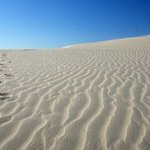 [<b>도도</b>] 가장 소름끼치는곳은!?