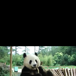 [EXO] 타오는 <b>팬더</b>상인가봉가