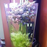 [EXO] 어항 꾸몄는데 어때?