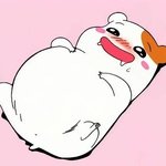 [EXO] 치킨 머거<b>쏘</b> 너무 많이 먹어서 배 나와<b>쏘</b>